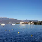 La Gatta Viola * 斯特雷萨