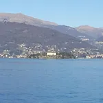 La Gatta Viola *