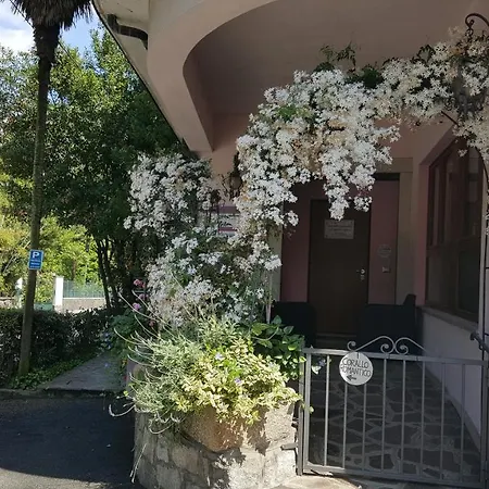 La Gatta Viola Apartman *