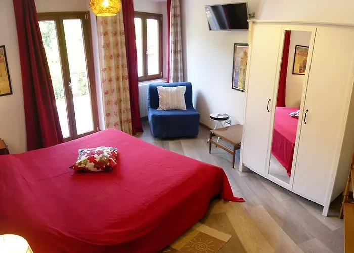 La Gatta Viola * 스트레사