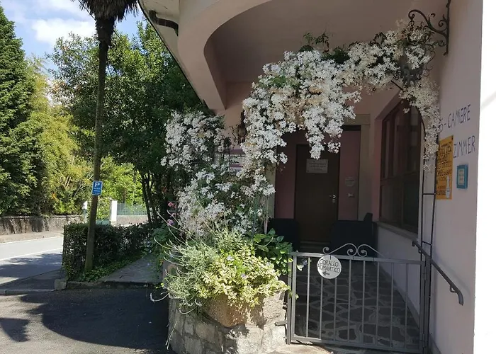 La Gatta Viola 아파트 *