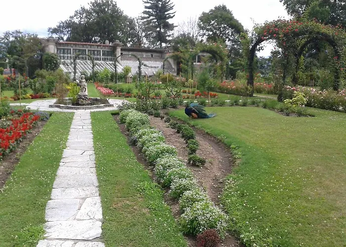 아파트 La Gatta Viola *