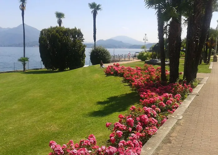 La Gatta Viola * 스트레사