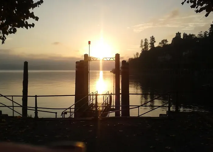 La Gatta Viola * 스트레사