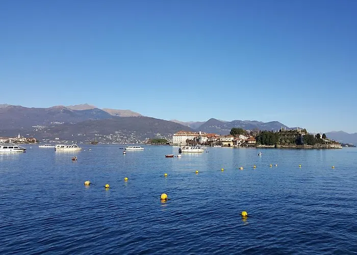 La Gatta Viola * 스트레사