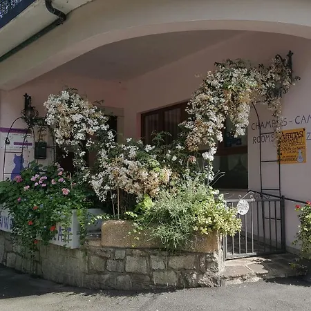 Apartment La Gatta Viola Stresa