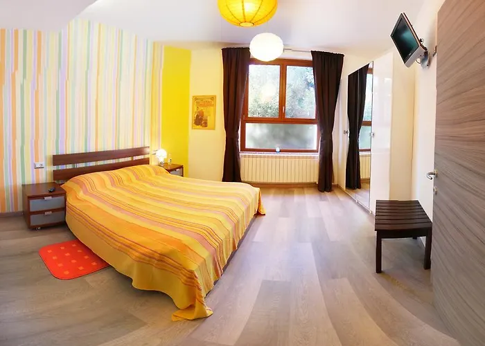 La Gatta Viola Daire Stresa