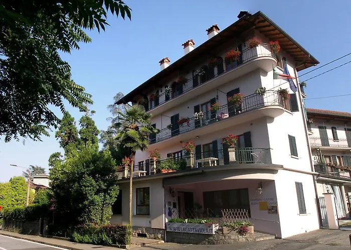 La Gatta Viola Daire *