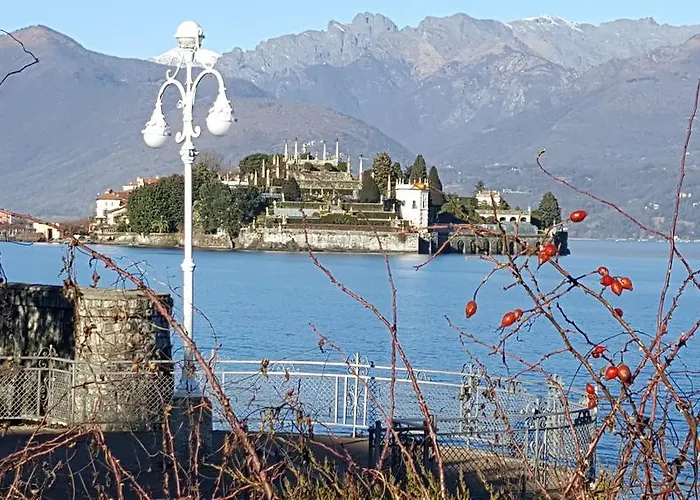 La Gatta Viola * Stresa